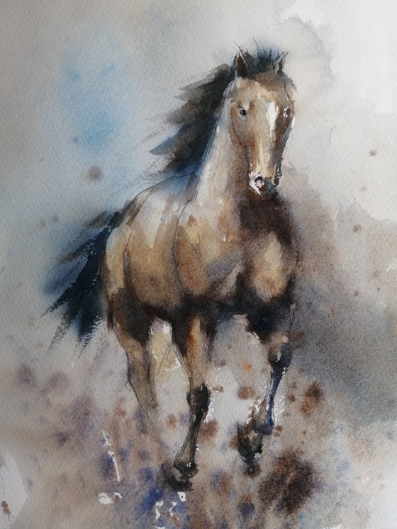 horses 20