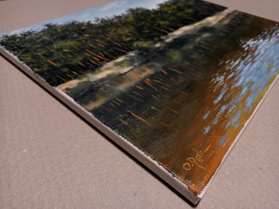 Pines on the shore