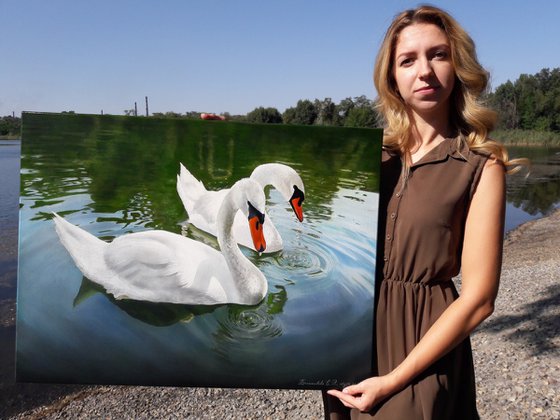 white swans on the pond, realistic bird painting