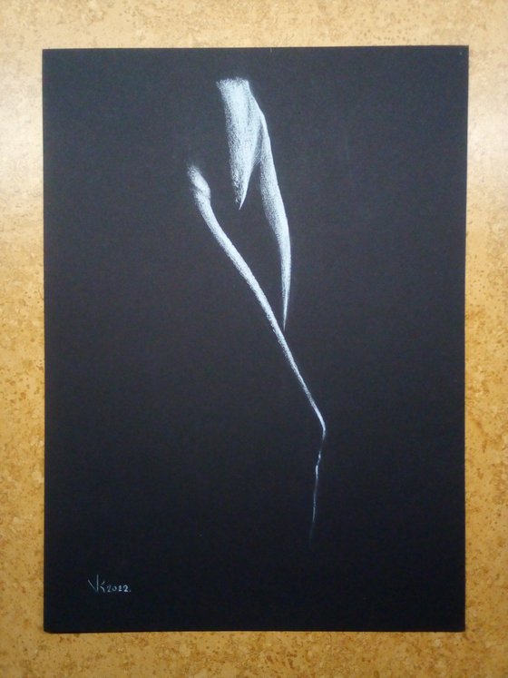 Nude noir #269 (21X29)cm