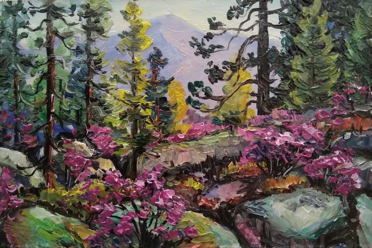 wild rosemary in the mountains by Irina Tolstikova