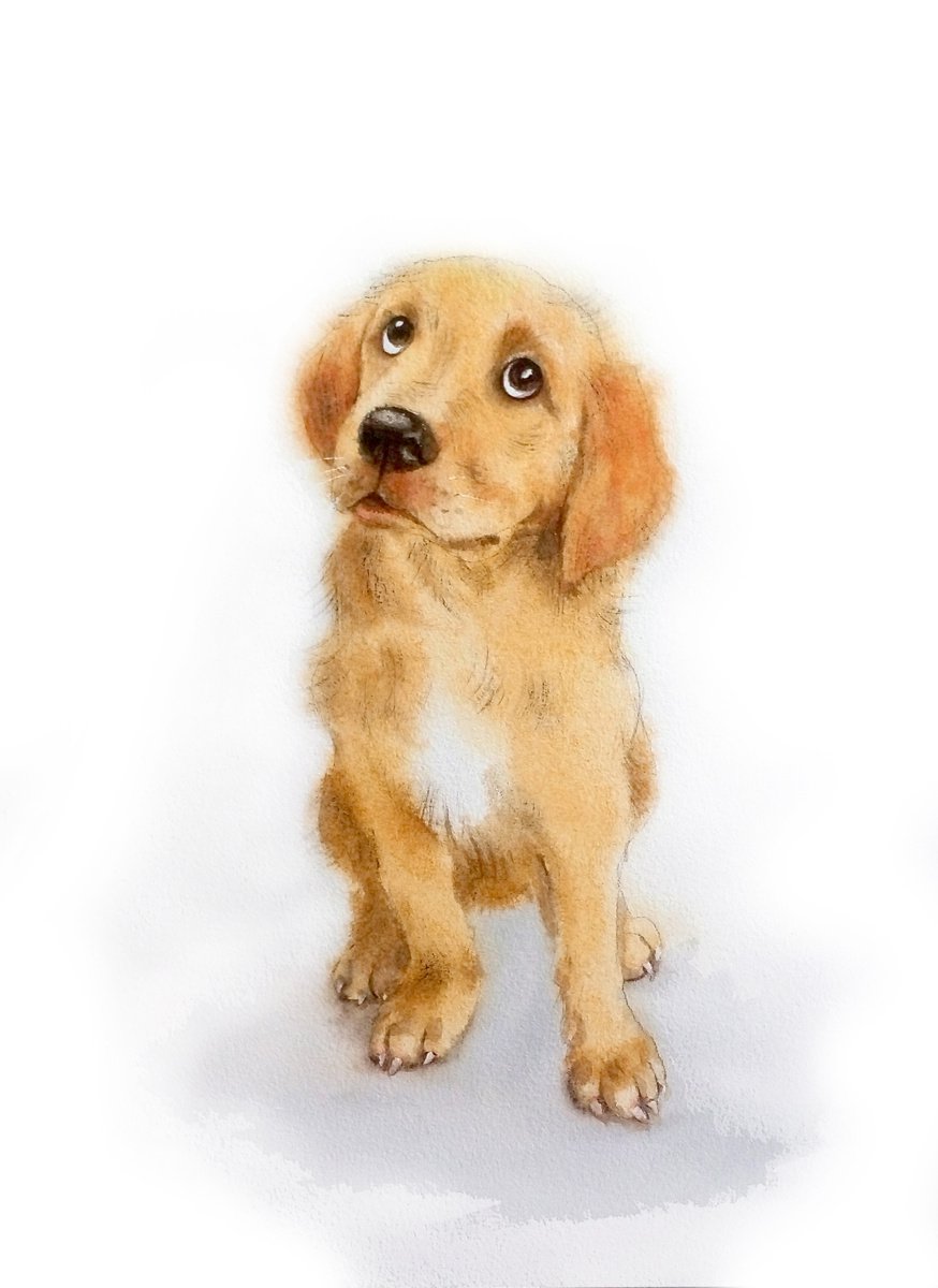 Yellow Golden Labrador Puppy - Dog Retriever Labrador Funny Cute Nice Sweet by Olga Beliaeva Watercolour