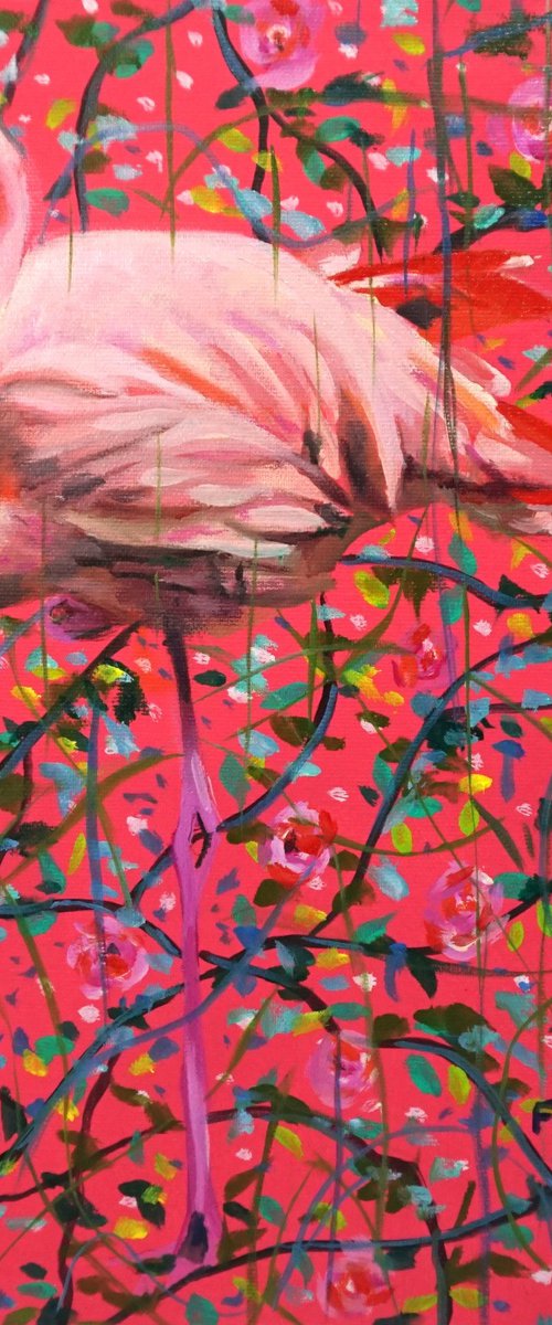Flamingo in pink by Amaya Fernández Fariza