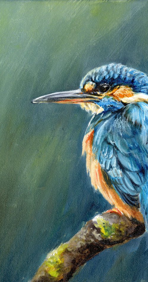 Kingfisher by Una Hurst