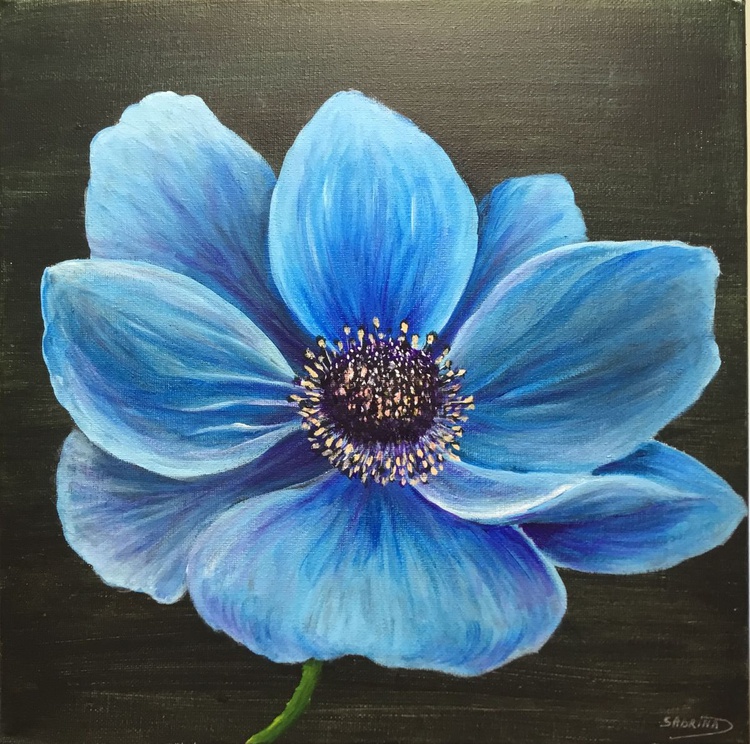 Blue Poppy Acrylic Painting By Sabrina S Art Artfinder