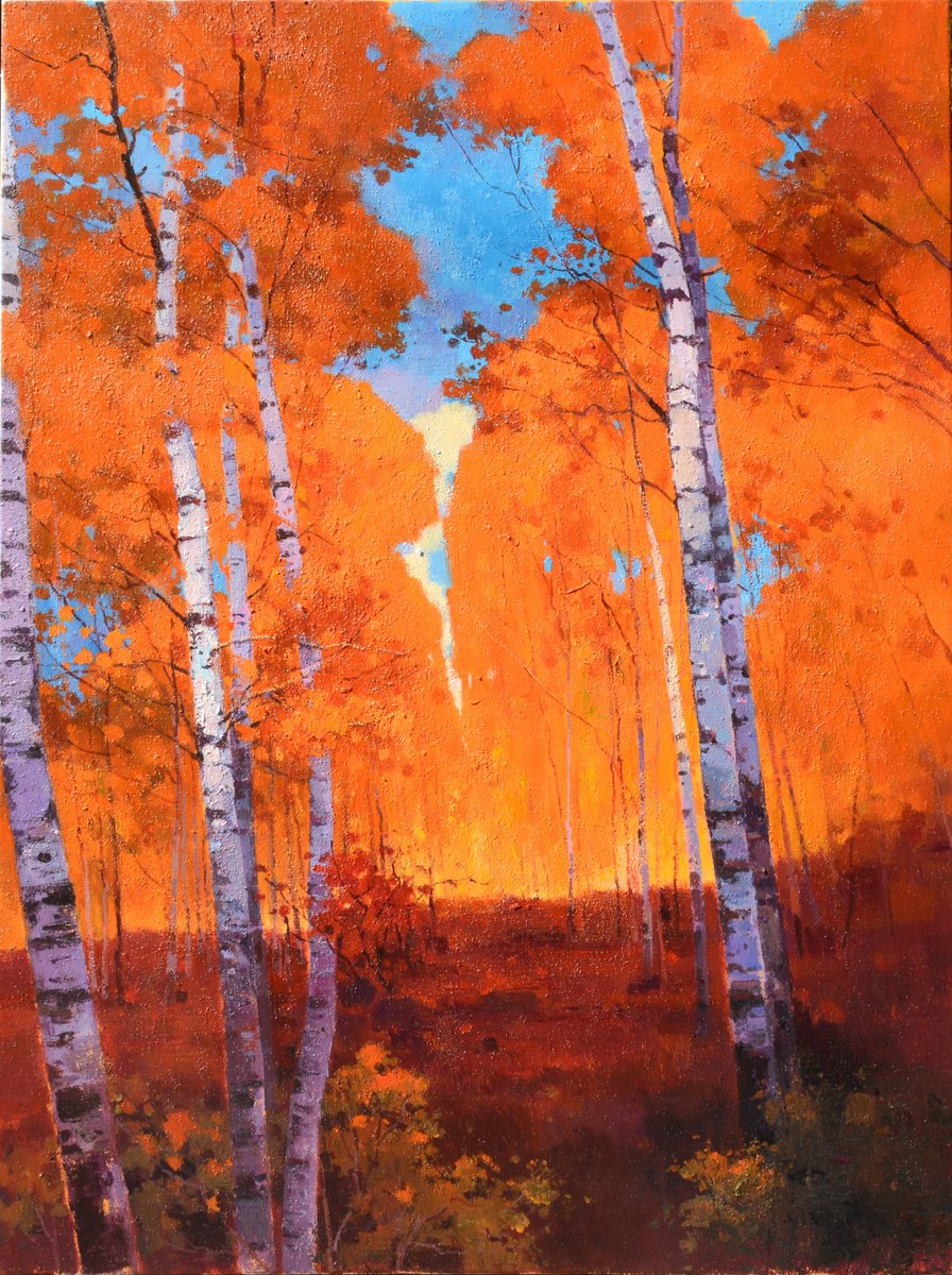 Birch trees forrest 080 by jianzhe chon