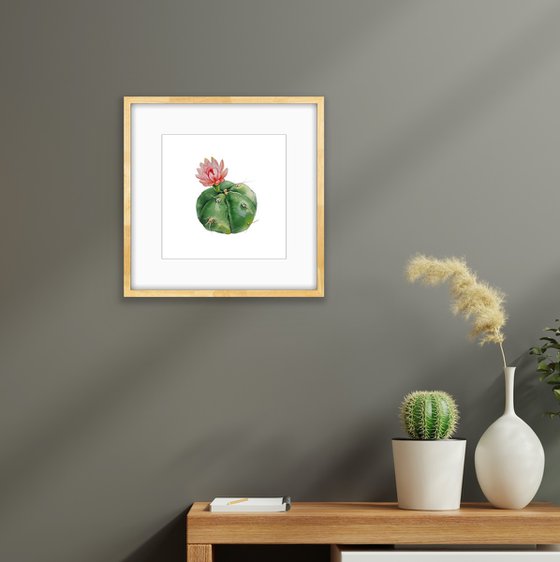 Cactus with a red flower. A series of original watercolour artwork.