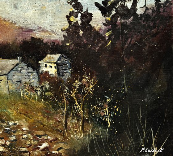 A few houses in rural scenery
