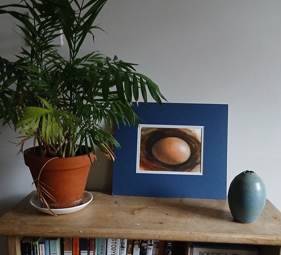 Egg Study