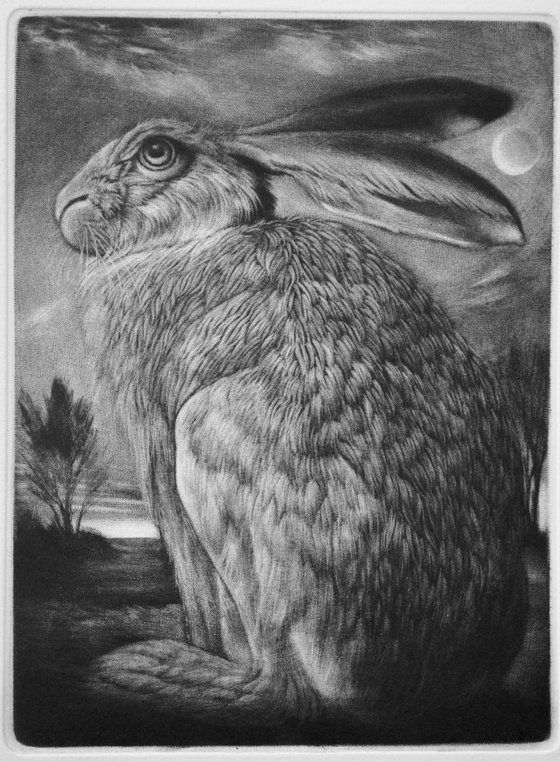 Hare in a Moonlit Landscape