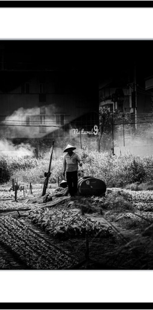 Farming Between Skyscrapers by Serge Horta