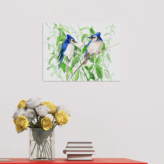 Blue Jay birds and Green Foliage