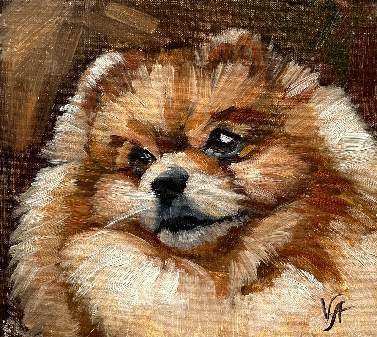 Pomeranian by Alona Vakhmistrova