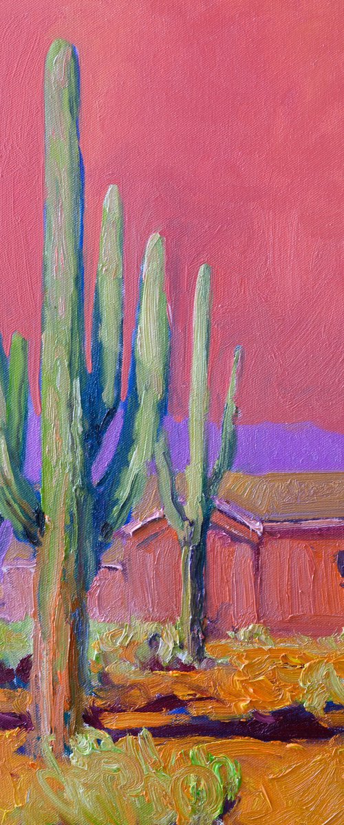 Pink Evening, Saguaro by Suren Nersisyan