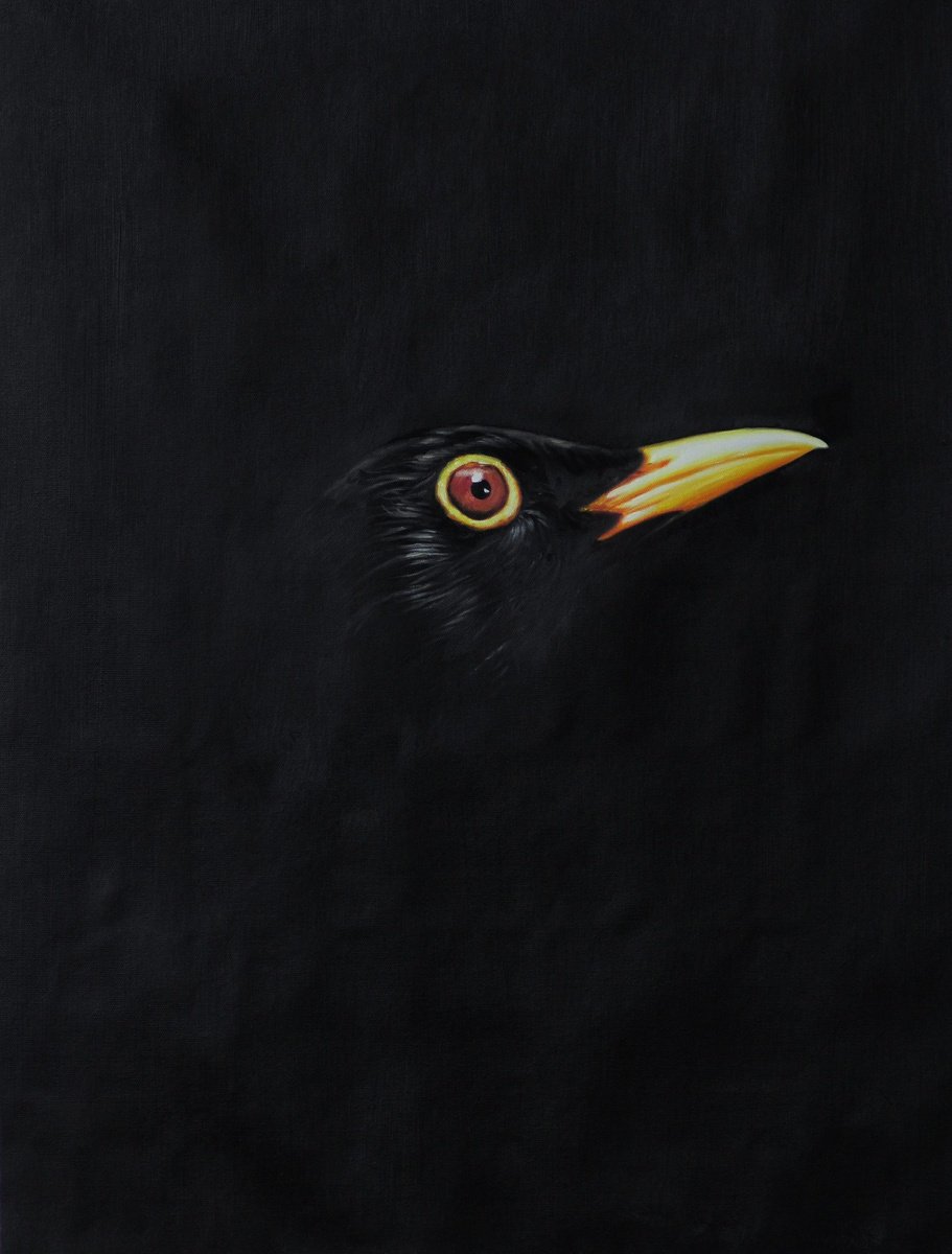 Blackbird by Mr Strange