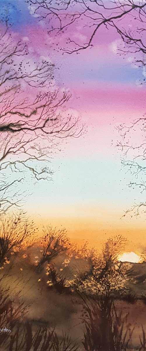 Evening Light and Trees by Michele Wallington