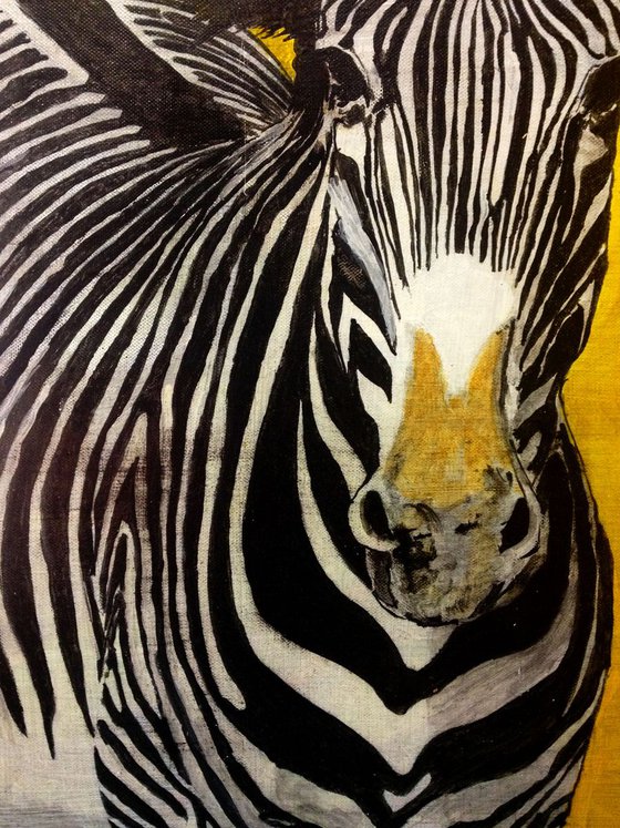 A zebra in yellow- original oil painting - 50 x 60 cm (20' x 24')