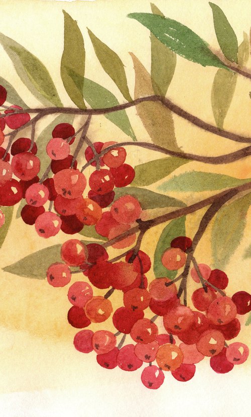 Rowanberry by Mia