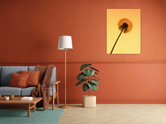 Solar Dandelion