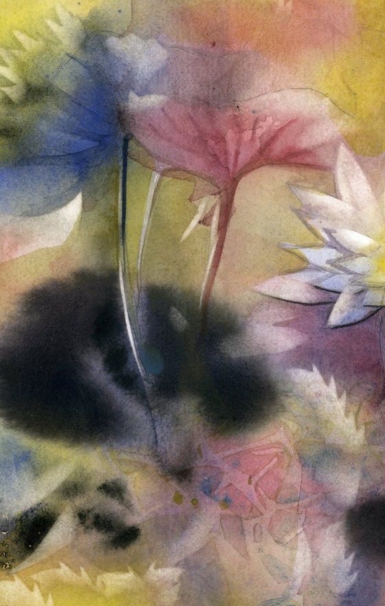 waterlily at the pond