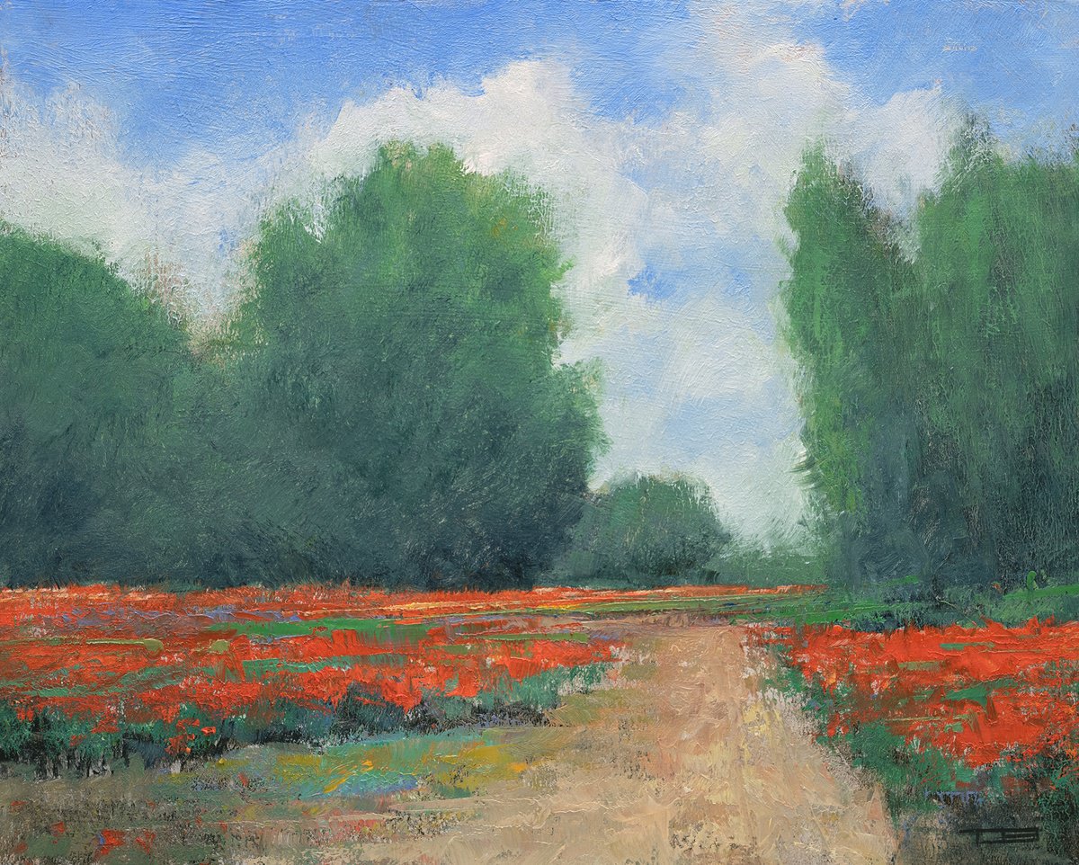 Red Poppies 250103 by Don Bishop