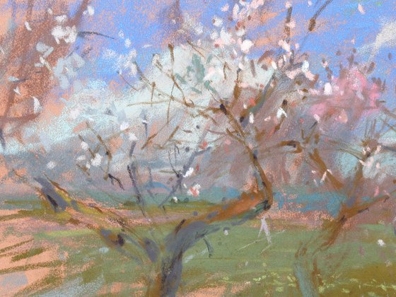 Colors of Spring