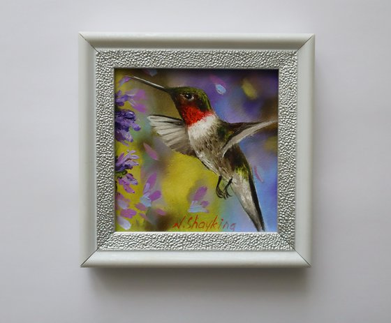 Vibrant Hummingbird Miniature