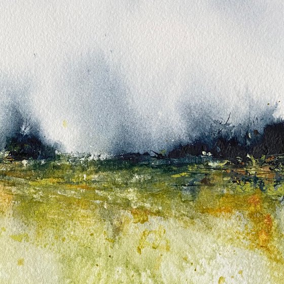 The Drizzle