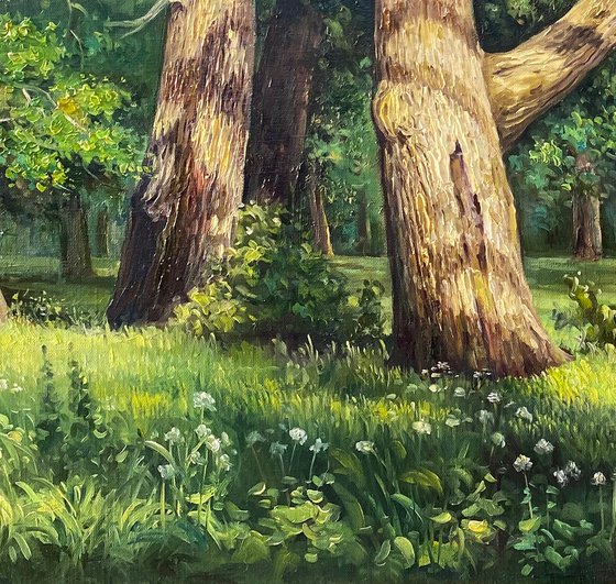 Oak Grove 110x70