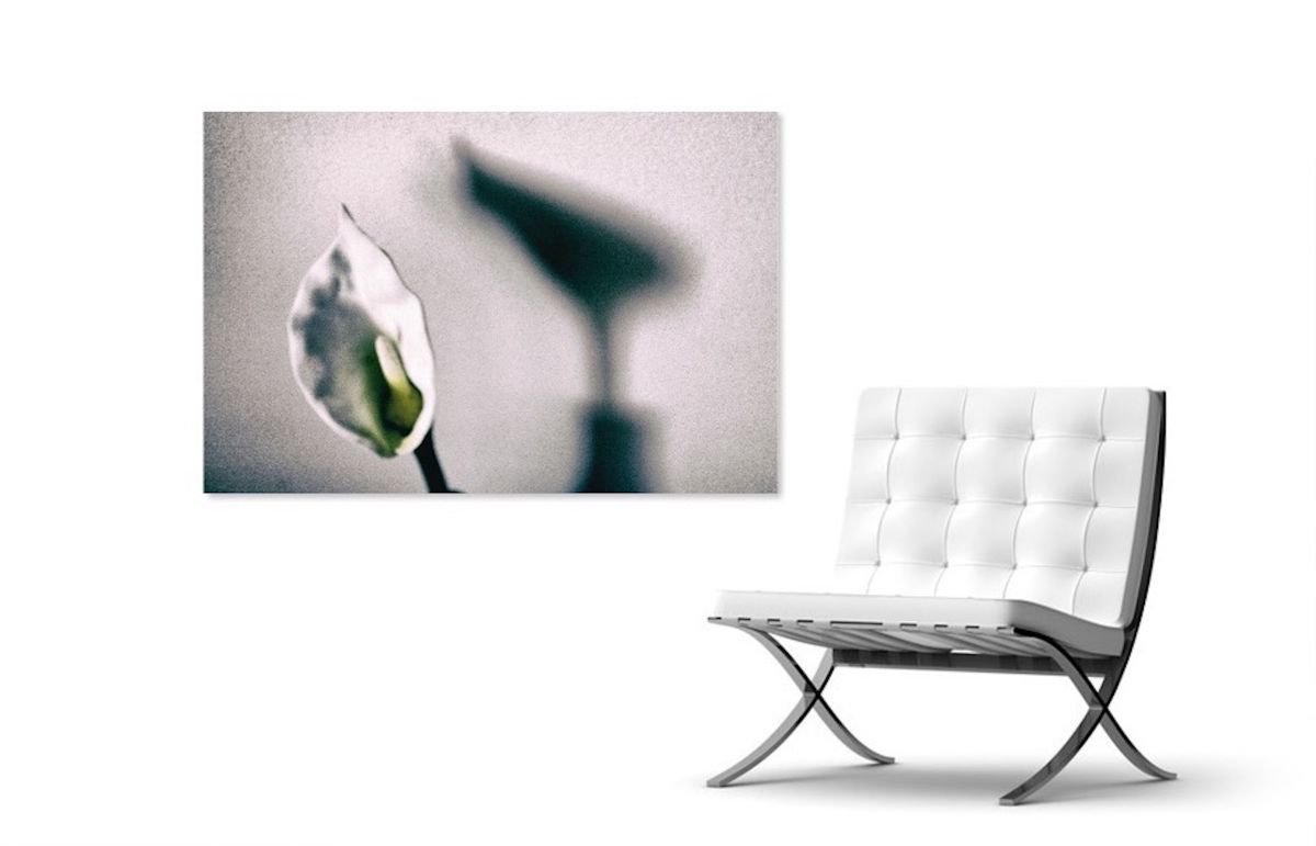 Photorealistic Botanical Photograph By Marc Ehrenbold, 40 X 30", Lily And Co., Original Artwork