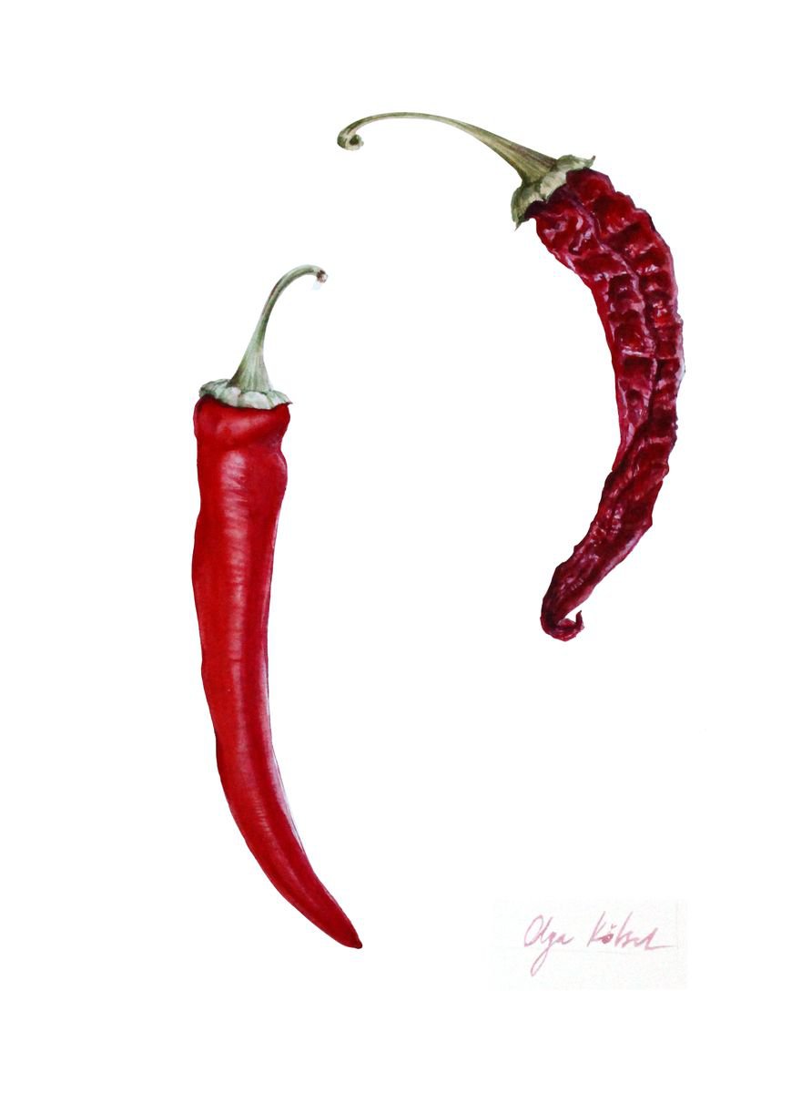 ?hili paprika couple by Olga Koelsch