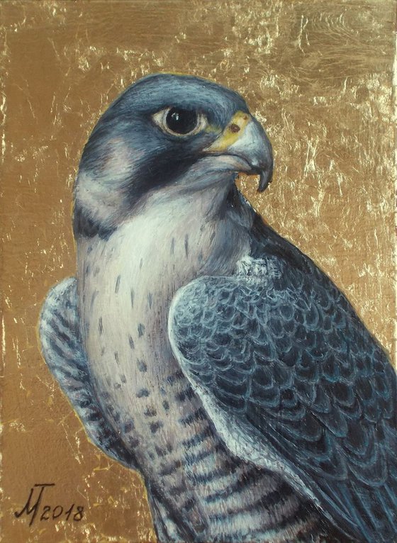 "Falcon".