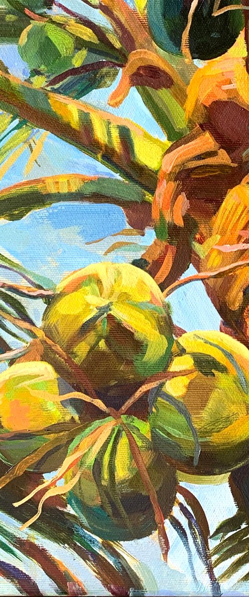 Sunlit. Palm, Limited Print by MOMALYU