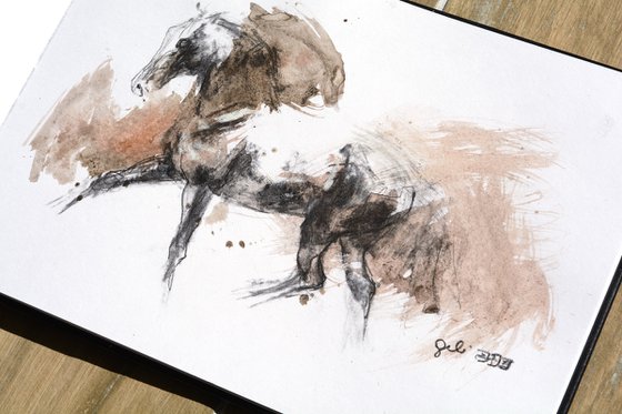 Equine nude 288
