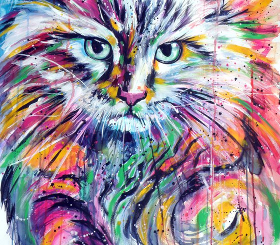 Colorful cat