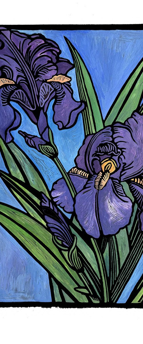 Purple Iris by Laurel Macdonald
