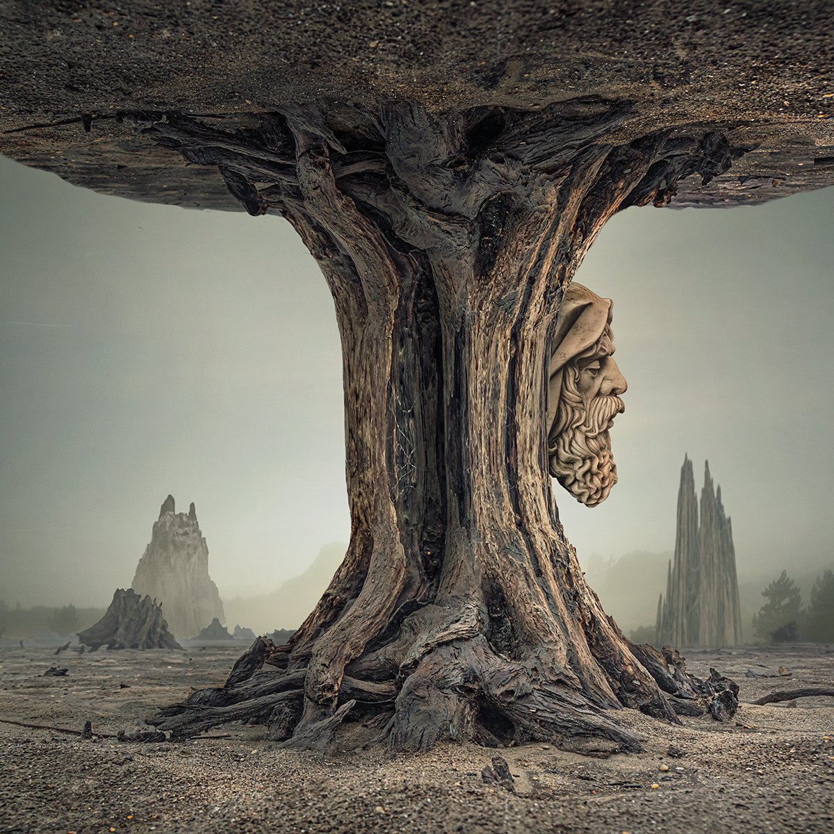 Tree Spirit, 100x100 cm, ready to hang by Dariusz Klimczak