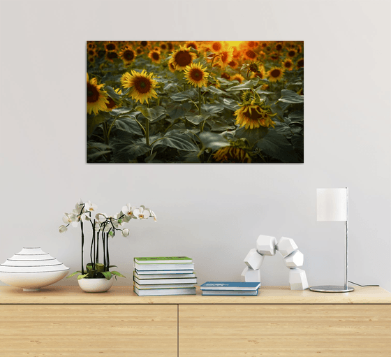 Golden Silence II – Field of Warmth