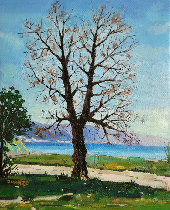 Old Tree