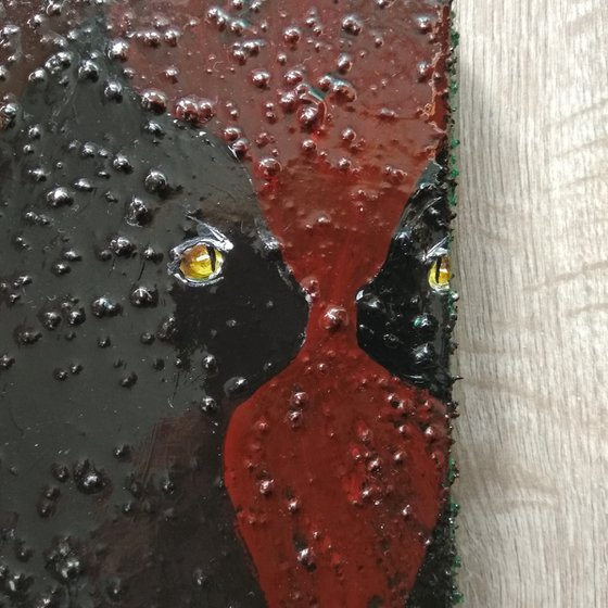 "Cat looking in to the mirror"
