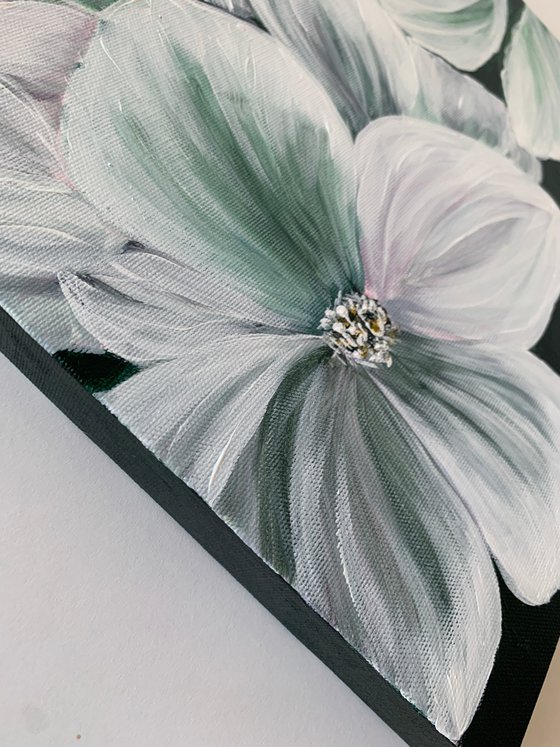 Moment of beauty, White Petals