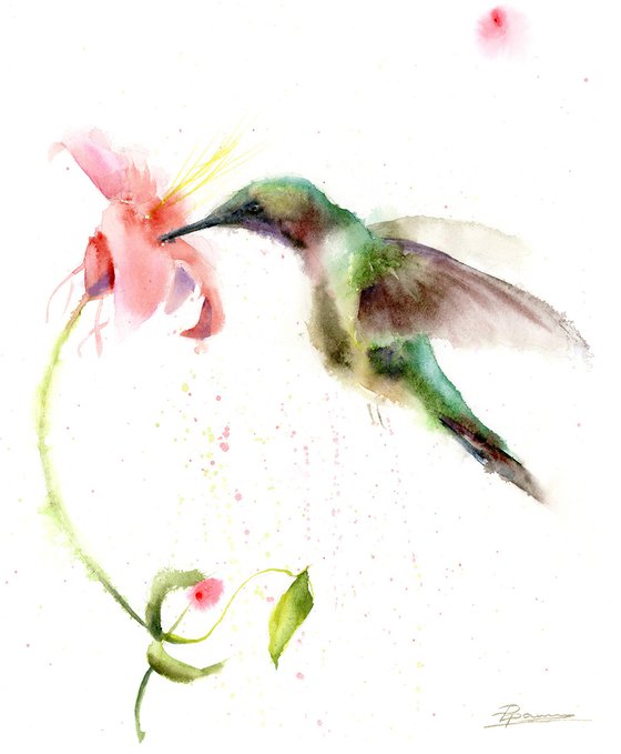 Green Hummingbird and flower