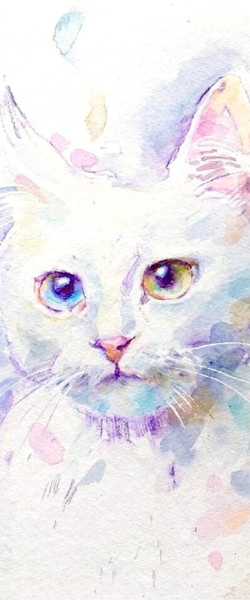 White cat by Alice Fly