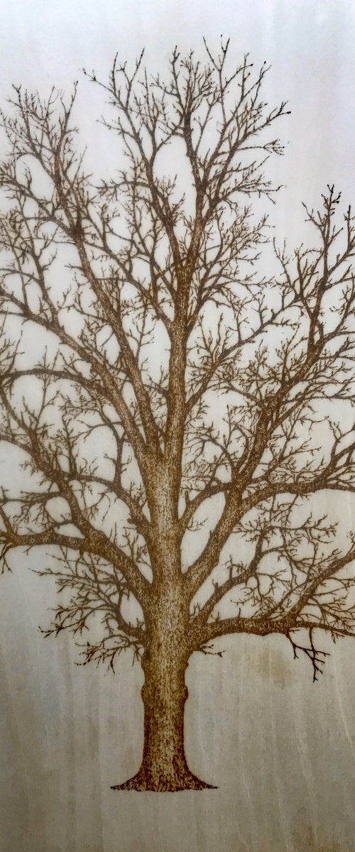 Tree by Tricia Newell