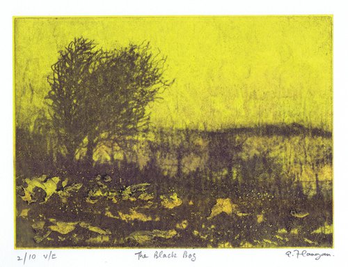 The Black Bog by Aidan Flanagan Irish Landscapes