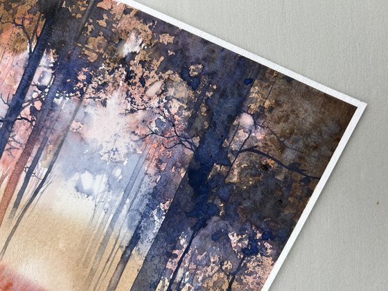 Autumn Forest