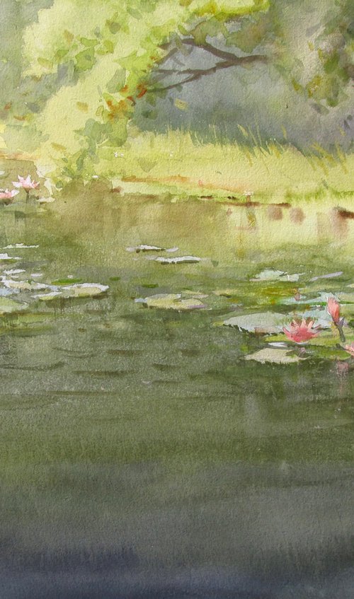 Water lilies by Bhargavkumar Kulkarni