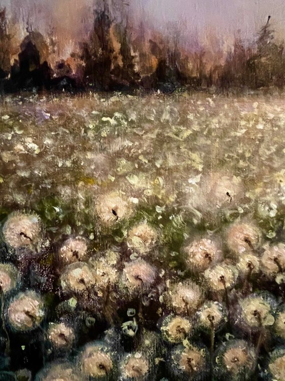 A thousand little dreams