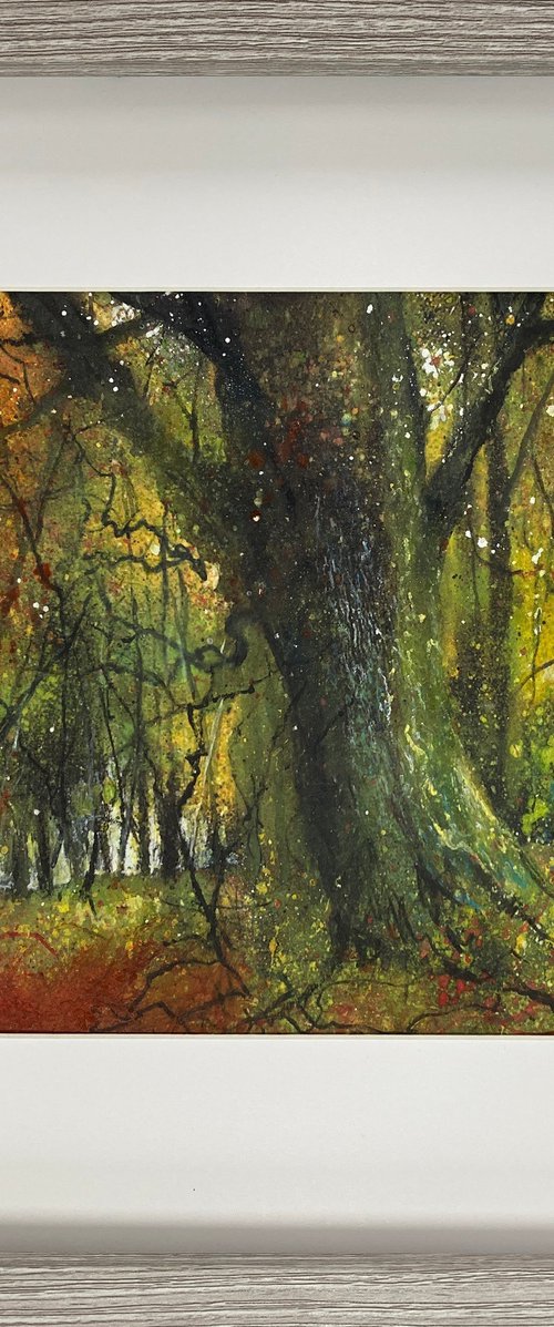 Autumn trees by Teresa Tanner