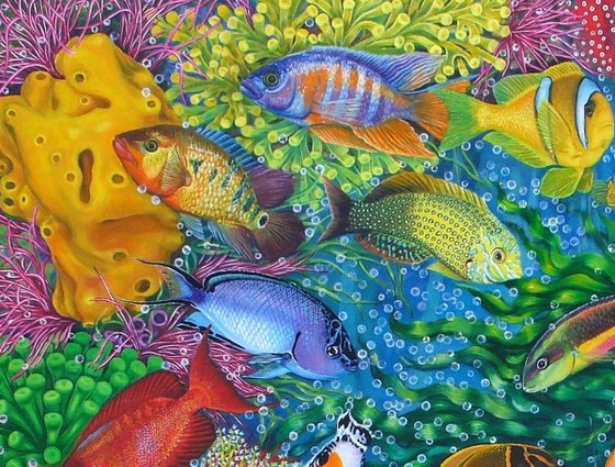 Dream in the Reef
